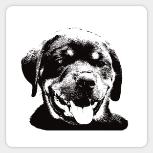 Rottweiler Puppy Face Design - A Rottie Christmas Gift Sticker